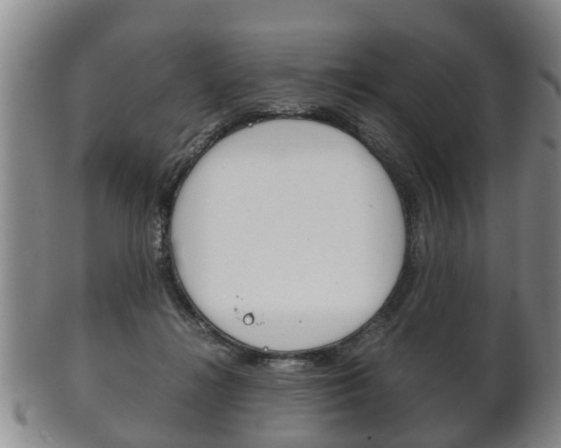X0000102510268200808081013