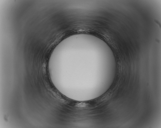 X0000102510269200808081013