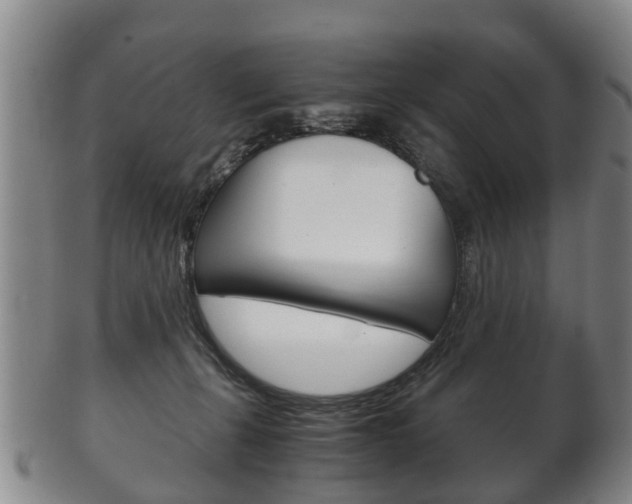 X0000102510271200808081013