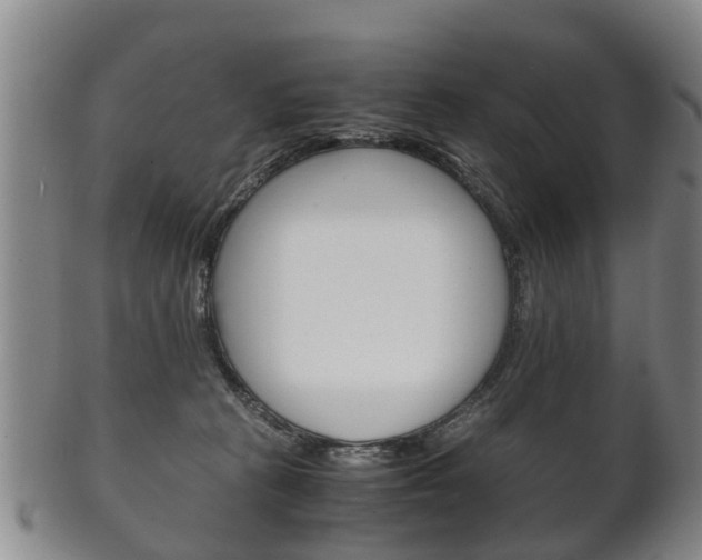 X0000102510273200808081013