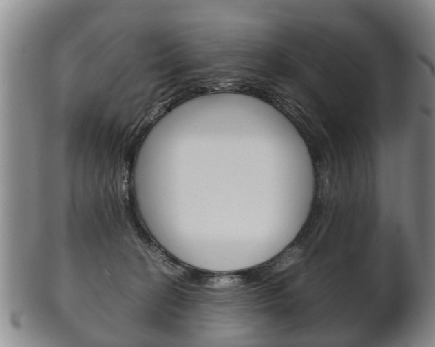 X0000102510274200808081013