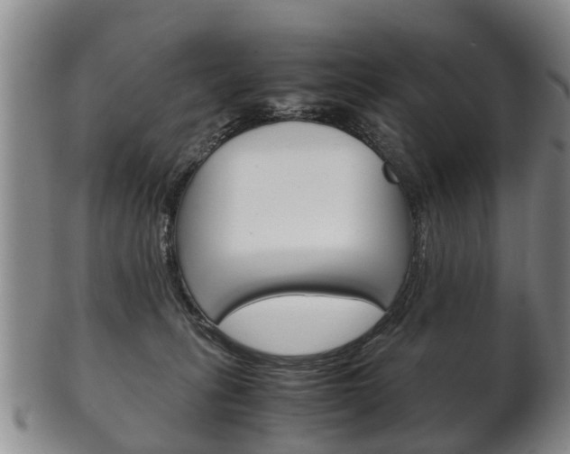 X0000102510275200808081013