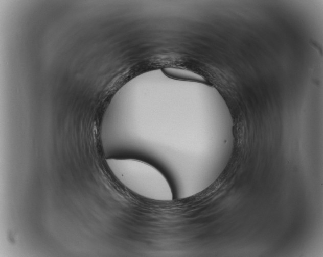 X0000102510279200808081013