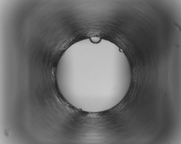 X0000102510280200808081013