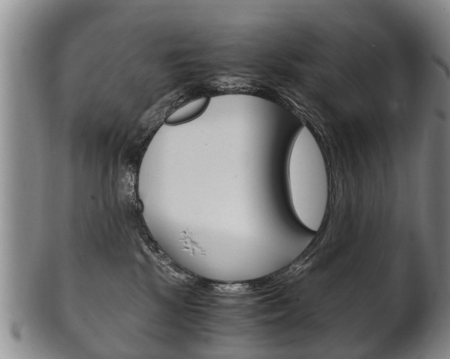 X0000102510281200808081013