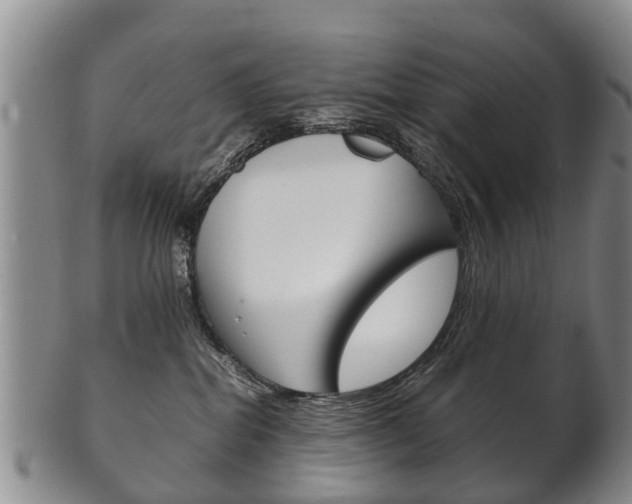 X0000102510282200808081013