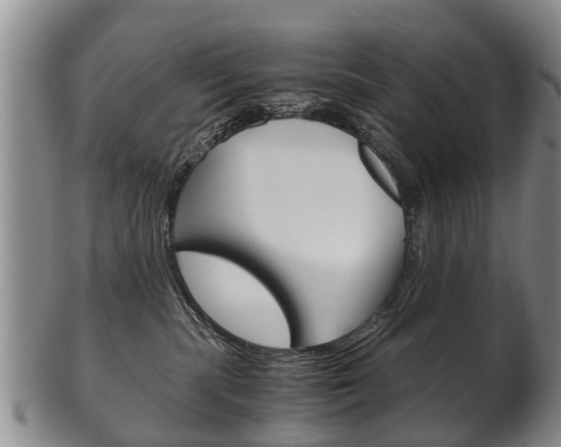 X0000102510283200808081013