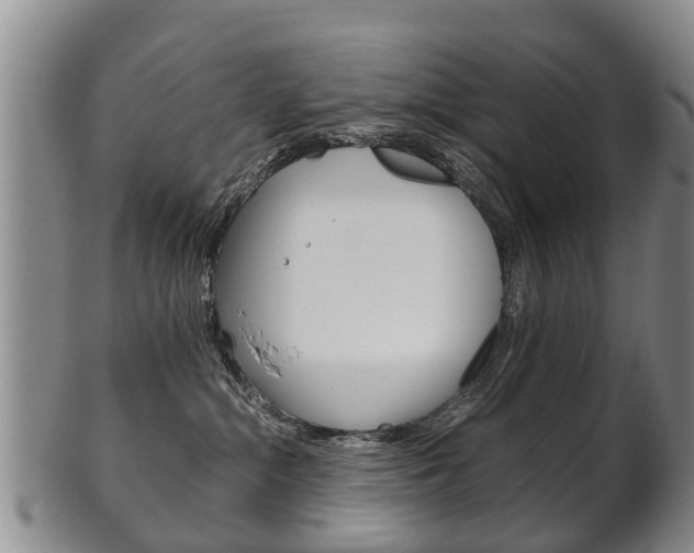 X0000102510284200808081014