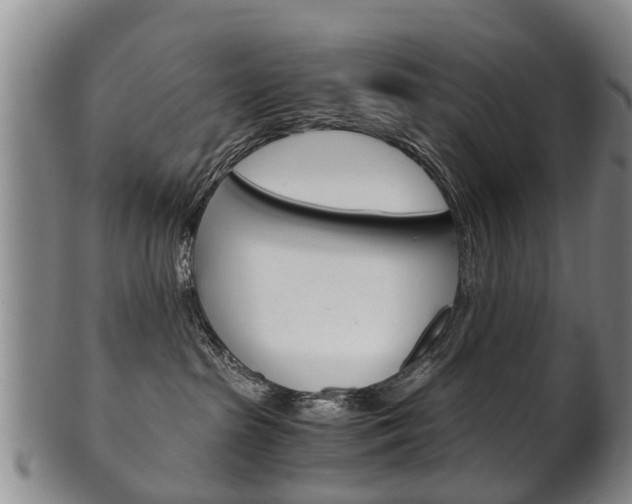 X0000102510285200808081014