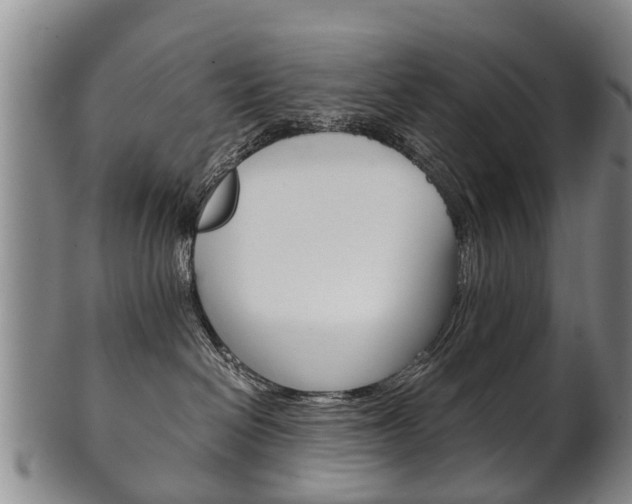X0000102510286200808081014