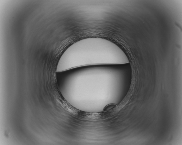 X0000102510288200808081014