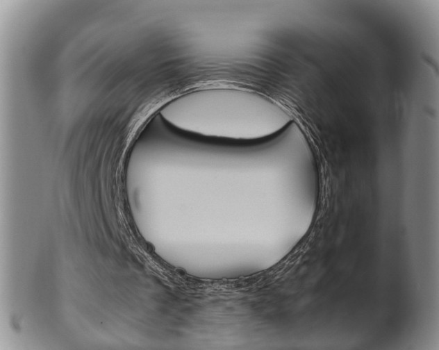 X0000102510289200808081013