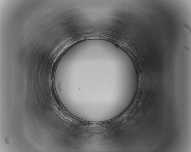 X0000102510290200808081013