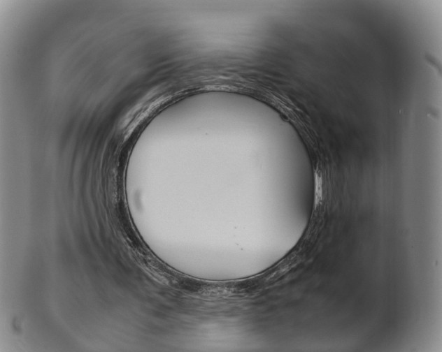 X0000102510291200808081013
