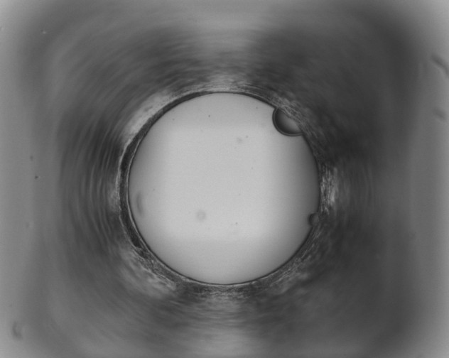 X0000102510292200808081013