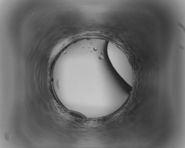 X0000102510293200808081013