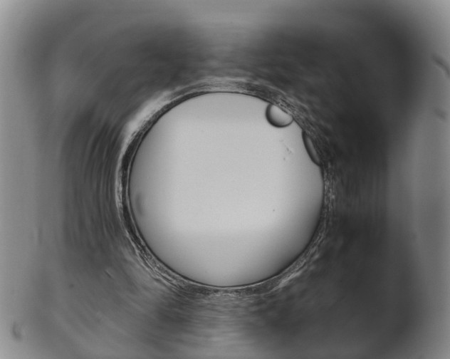 X0000102510294200808081013