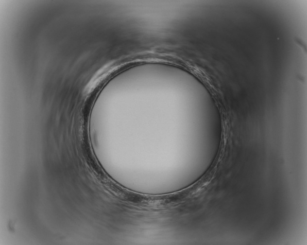 X0000102510295200808081013