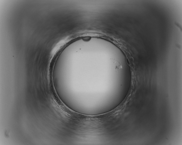X0000102510296200808081013