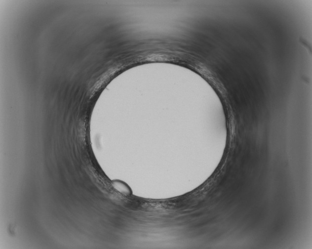 X0000102510297200808081013