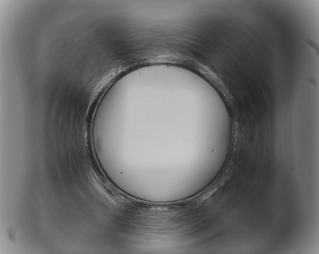 X0000102510298200808081013