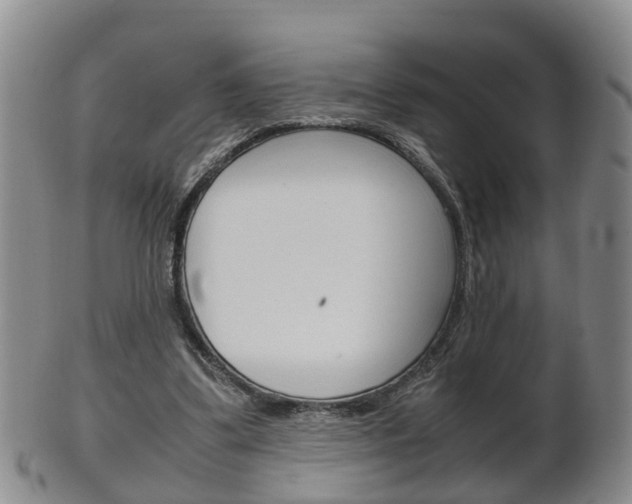 X0000102510299200808081013