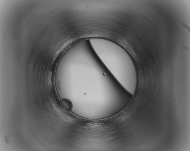 X0000102510300200808081013
