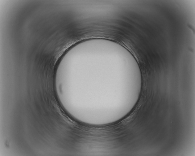 X0000102510301200808081013