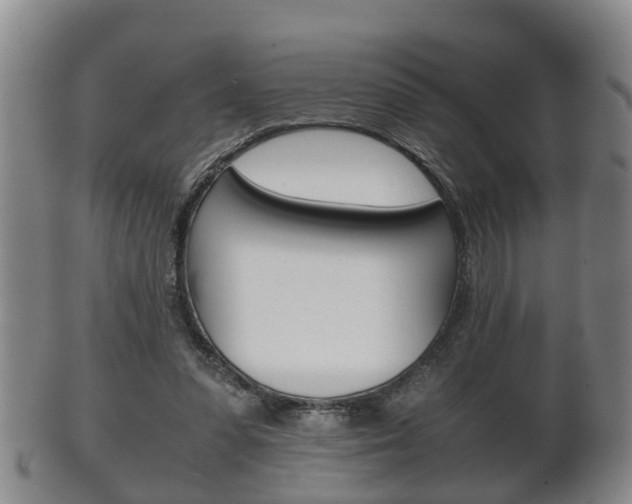 X0000102510303200808081013
