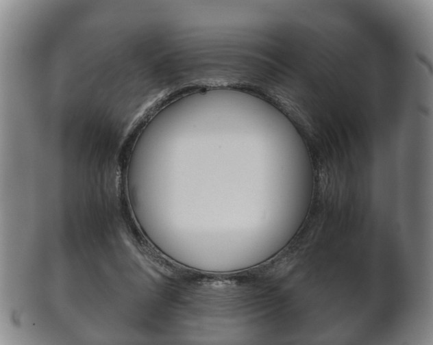 X0000102510304200808081013