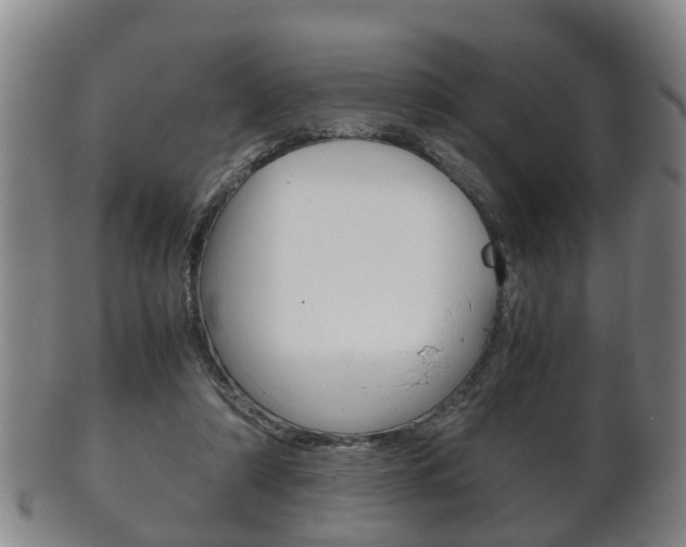 X0000102510306200808081013