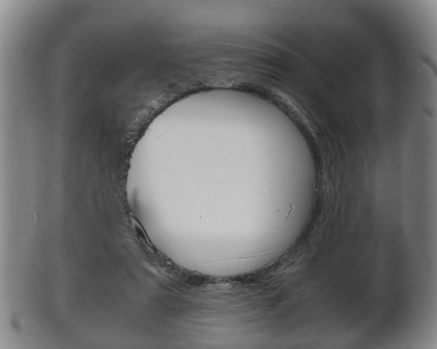 X0000102510307200808081013