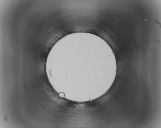X0000102510309200808081013