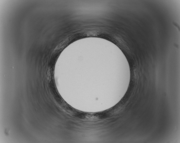 X0000102510311200808081013