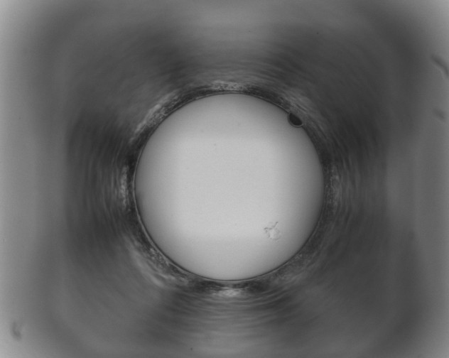 X0000102510312200808081013