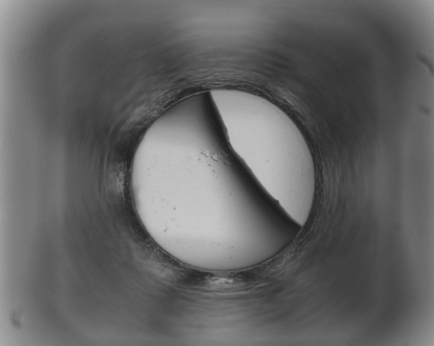 X0000102510315200808081013