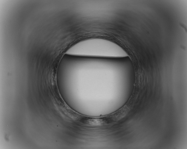 X0000102510316200808081013