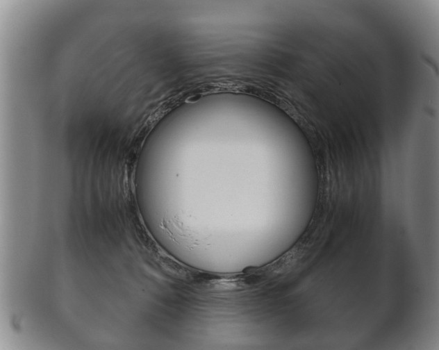 X0000102510320200808081012
