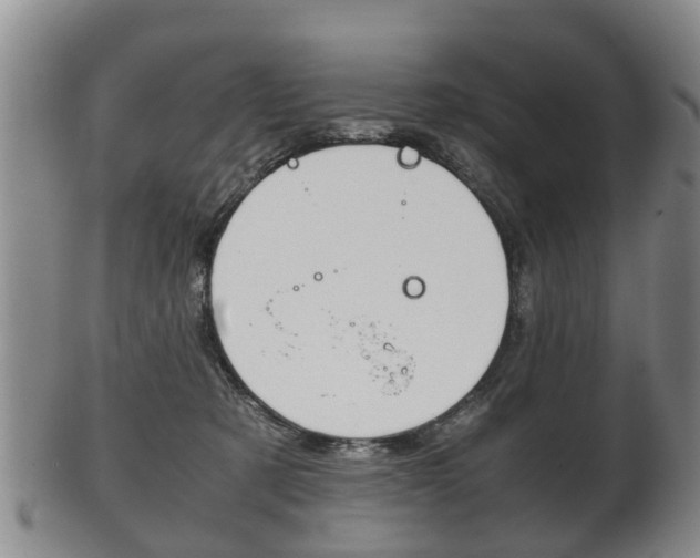 X0000102510321200808081012