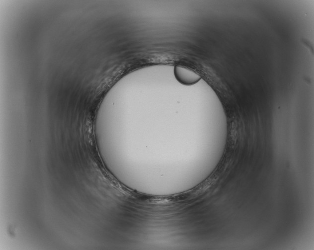 X0000102510322200808081012