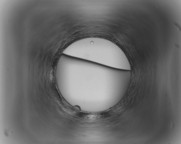 X0000102510323200808081012