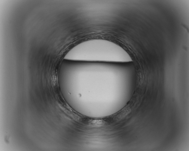 X0000102510324200808081012