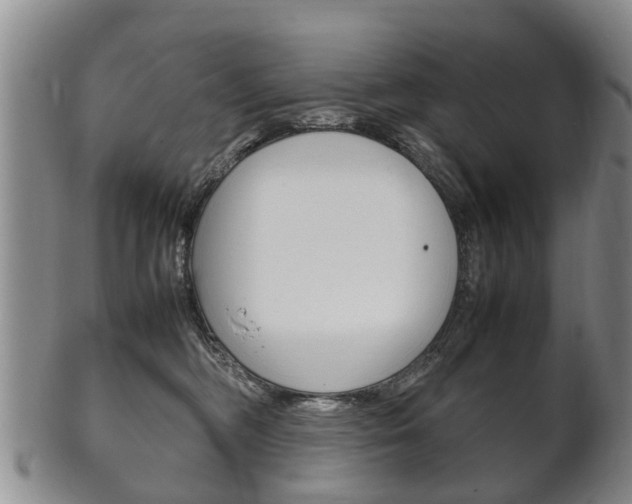 X0000102510326200808081012