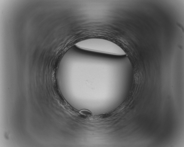 X0000102510327200808081012