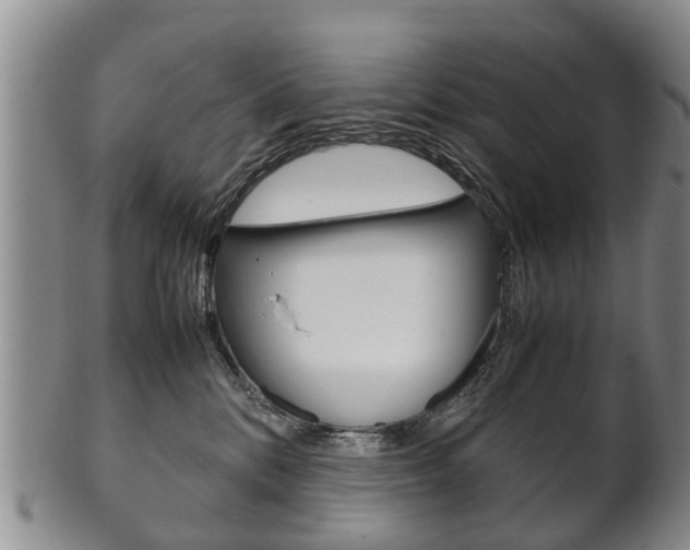 X0000102510328200808081012