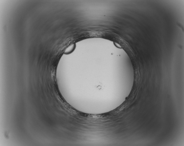 X0000102510329200808081012