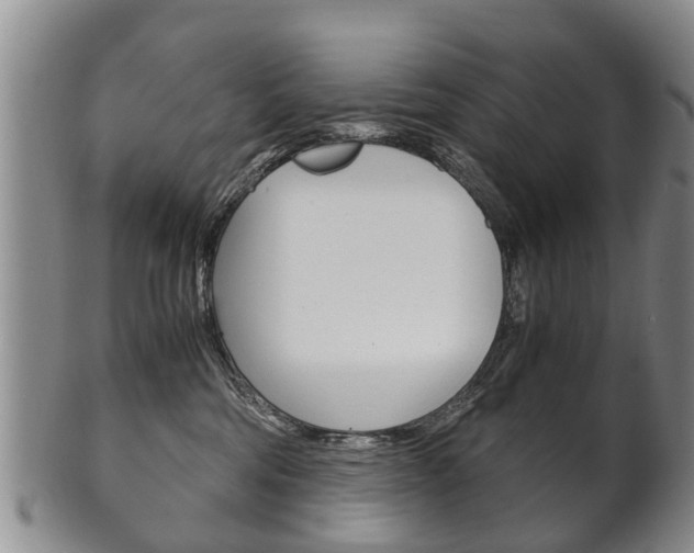 X0000102510330200808081012