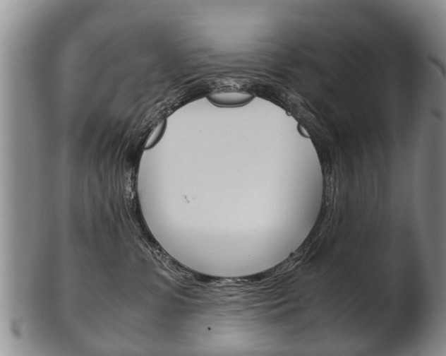 X0000102510331200808081012