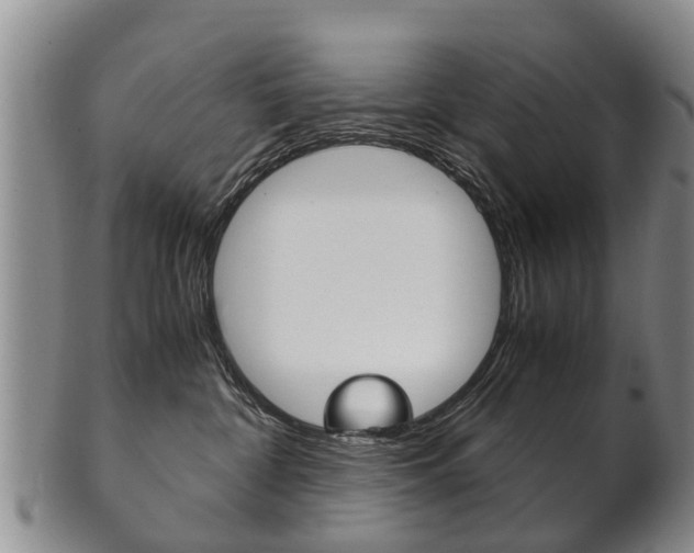 X0000102510332200808081012