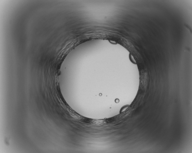 X0000102510333200808081012